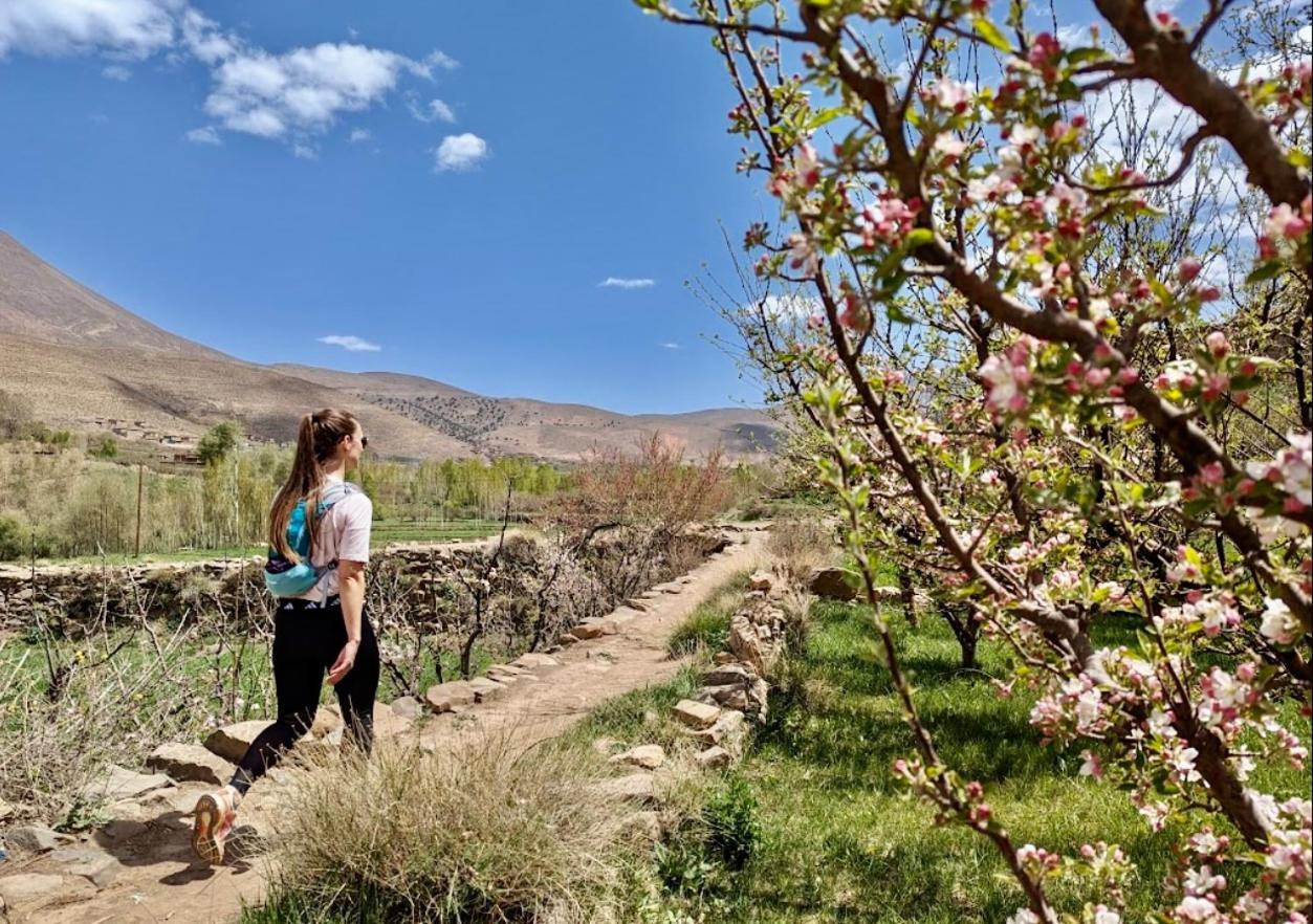 Touda Ecolodge Atlas Mountains Zawyat Oulmzi Экстерьер фото